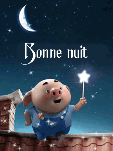 bonne nuit cochon